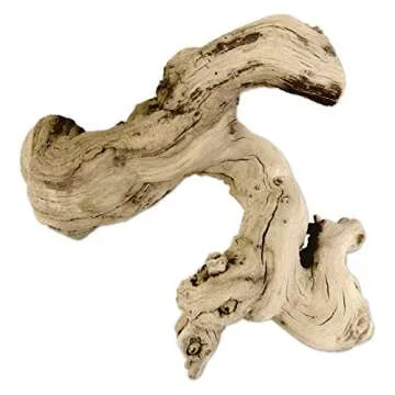 Koyal Natural Grapewood Vine Branch, 6-Inch