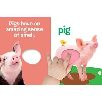 Touch and Feel Farm Animals Interactive Child’s Book