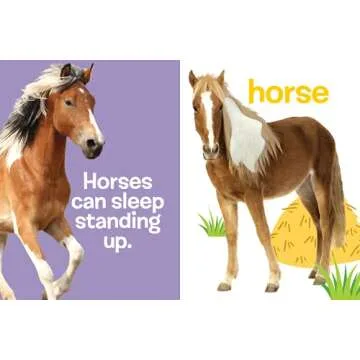 Touch and Feel Farm Animals Interactive Child’s Book