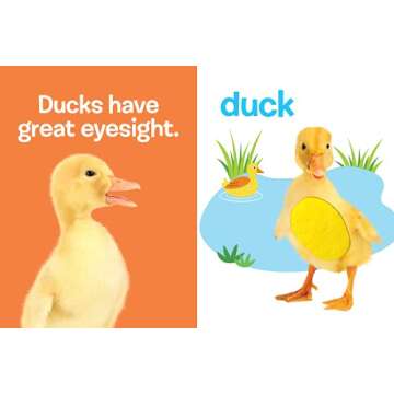 Touch and Feel Farm Animals - Novelty Book - Children's Board Book - Interactive Fun Child's Book