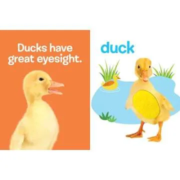 Touch and Feel Farm Animals Interactive Child’s Book