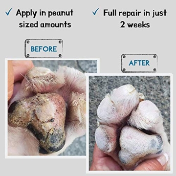 Natural Dog Paw Balm Lick-Safe Moisturizer and Protector