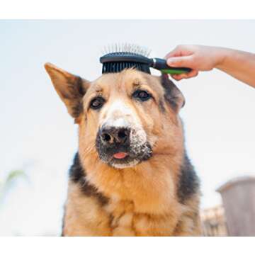 Pet Magasin Grooming Brushes Set of 3 for Dogs & Cats