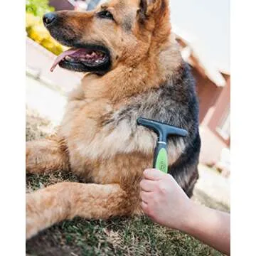 Pet Magasin Grooming Brushes Set of 3 for Dogs & Cats