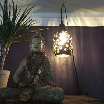 YLONG-ZS Farmhouse Hanging Lights Fixtures with 16.4 FT Plug in Cord Black and Gold Metal Pendant Light Cage in-Line On/Off Dimmer Switch Rustic Swag Ceiling Lamps for Living Room,Bedroom,Corner