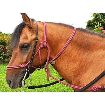 Sierra Horse Halter - Training Halter for All Horse Breeds