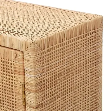 Stunning Tov Amara Natural Rattan Wall Cabinet