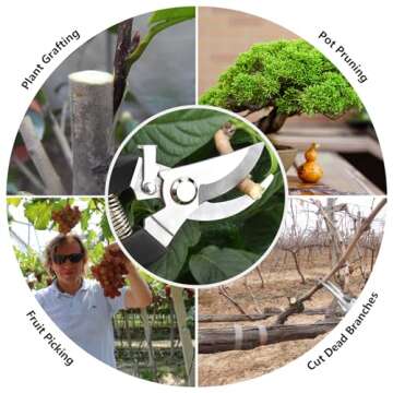 Garden Scissors for Plant, Tip Pruning Shears for Cutting Flowers, Trimming Plants, Bonsai and Fruits Picking (Black Bypass Blade Pruner)