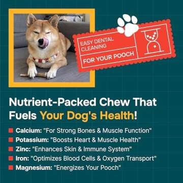 100% Natural Elk Antlers for Dogs - Long-Lasting Chews for Aggressive Chewers