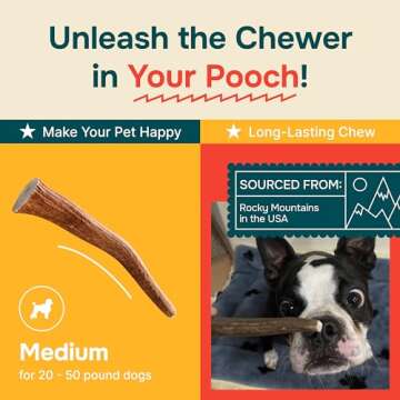 Natural Elk Antlers for Dogs - Nutritious Chew Treats