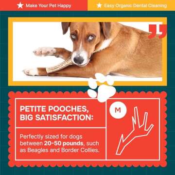 Natural Elk Antlers for Dogs - Nutritious Chew Treats