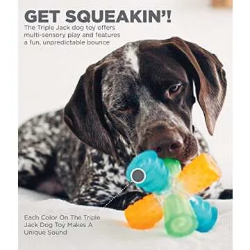 Outward Hound Triple Jack Interactive Dog Toy for Endless Fun