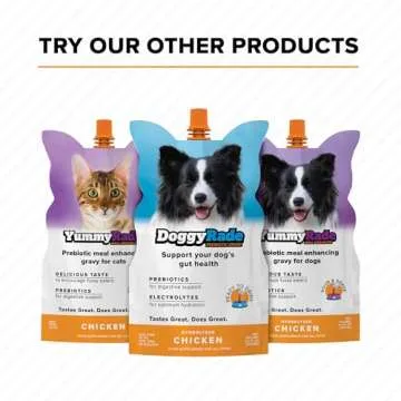 KittyRade – Healthy Cat Hydration Drink with Electrolytes