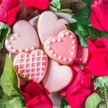 JOB JOL Heart Cookie Cutters 5 PCS, 2'' to 4'', for Valentine's Day
