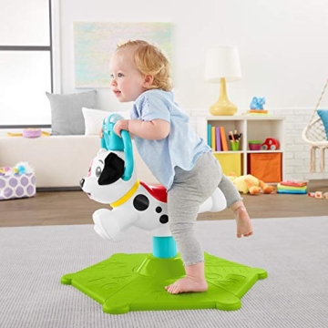 Fisher-Price Bounce and Spin Puppy for Toddlers and Infants