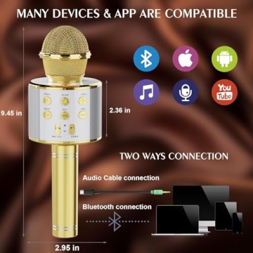 voijump Wireless Bluetooth Karaoke Microphone 2 Pack