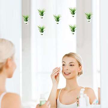 AIEVE Air Plants Holder - Translucent 12 Pack with Suction Cups