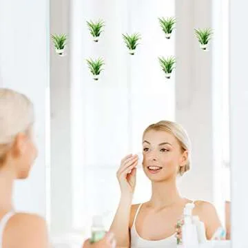 AIEVE Air Plants Holder - Translucent 12 Pack with Suction Cups