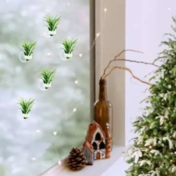 AIEVE Air Plants Holder - Translucent 12 Pack with Suction Cups