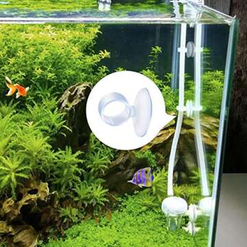 AIEVE Air Plants Holder - Translucent 12 Pack with Suction Cups