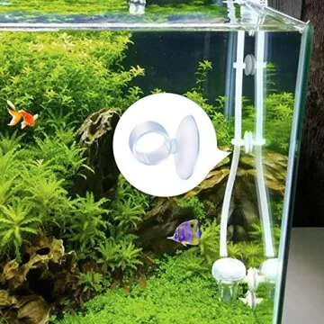 AIEVE Air Plants Holder - Translucent 12 Pack with Suction Cups