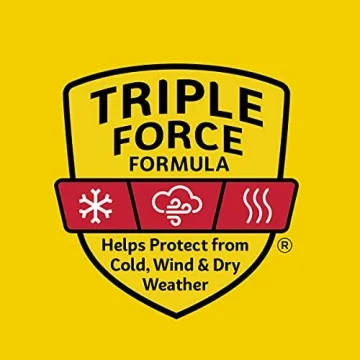 Carmex Medicated Lip Balm Pack for Chapped Lips Relief