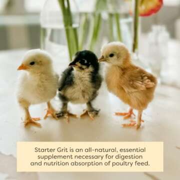 Scratch and Peck Starter Grit Supplement for Chickens and Ducks - Essential Supplement for Gizzard and Digestive Health - Sustainably Sourced - 7 lbs Bag