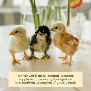 Scratch and Peck Starter Grit for Chickens and Ducks - 7 lbs