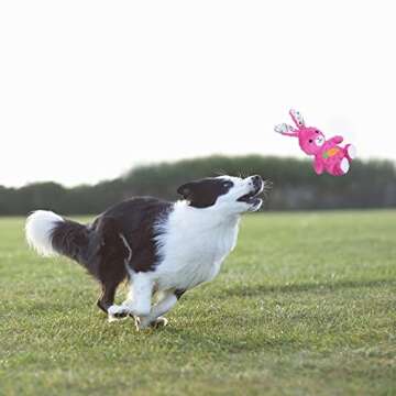 DODODOLA Plush Bunny Squeaky Dog Toy for Healthy Fun