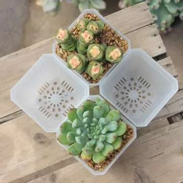 BangQiao 120 Pack Small 2.70 Inch Clear Plastic Square Nursery and Seedling Pot Container, Seed Starting Transplant Planter with Drain Hole for Germination