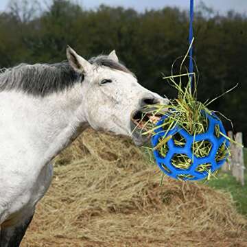 Fun PLAMYWJ Horse Feeding Toy - Keep Your Horse Happy!