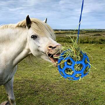 Fun PLAMYWJ Horse Feeding Toy - Keep Your Horse Happy!