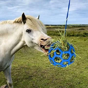 Fun PLAMYWJ Horse Feeding Toy - Keep Your Horse Happy!