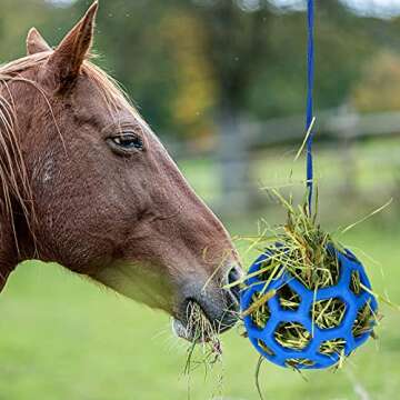 Fun PLAMYWJ Horse Feeding Toy - Keep Your Horse Happy!