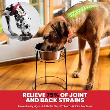 SPOT Hi Rise Single Diner Elevated Dog Feeder, 2qt Stainless Steel Bowl, Durable Wire Stand, Hygienic, Easy to Clean, Promotes Proper Posture for Tall Pets, Ideal for Medium and Large Breeds, 14.25in