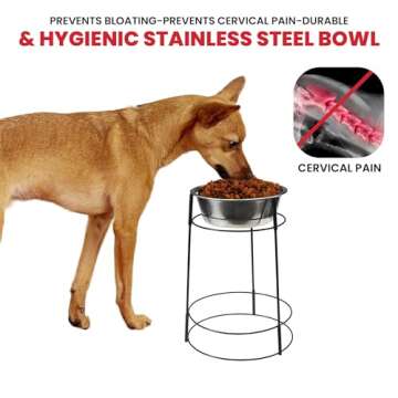 SPOT Hi Rise Single Diner Elevated Dog Feeder, 2qt Stainless Steel Bowl, Durable Wire Stand, Hygienic, Easy to Clean, Promotes Proper Posture for Tall Pets, Ideal for Medium and Large Breeds, 14.25in
