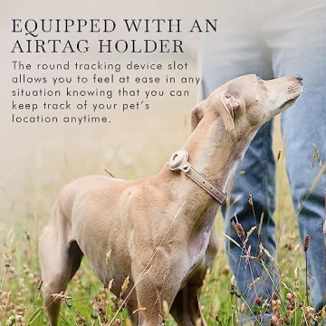 Cupertino Adjustable Vegan Leather Dog Collar with Tracker Holder