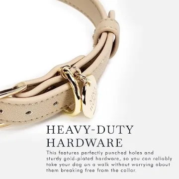 Cupertino Adjustable Vegan Leather Dog Collar with Tracker Holder