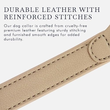 Cupertino Adjustable Vegan Leather Dog Collar with Tracker Holder