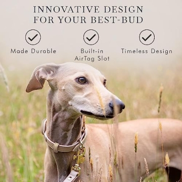 Cupertino Adjustable Vegan Leather Dog Collar with Tracker Holder