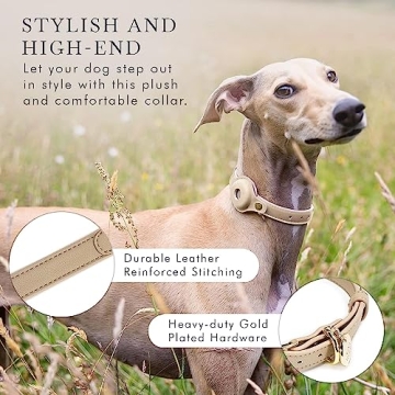 Cupertino Adjustable Vegan Leather Dog Collar with Tracker Holder