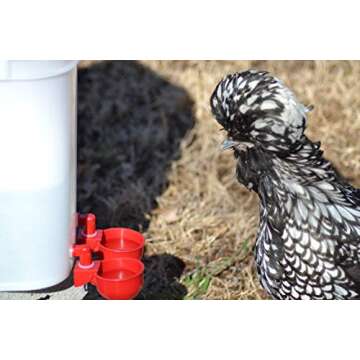 RentACoop 5 Gallon/ 4 Automatic-Fill Water Cup Chicken Waterer - Center Placement