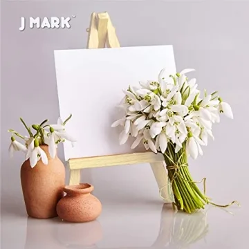 J MARK Mini Canvas Acrylic Painting Kit with Wood Easel & Supplies