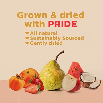 RIND Snacks Variety Pack | Healthy Dried Fruit Blends | No Sugar Added