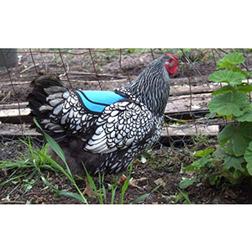 Durable Down Under Outdoors Chicken Saddle for Hen Protection
