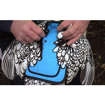 Durable Down Under Outdoors Chicken Saddle for Hen Protection