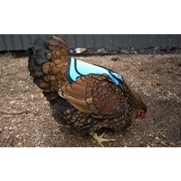 Durable Down Under Outdoors Chicken Saddle for Hen Protection