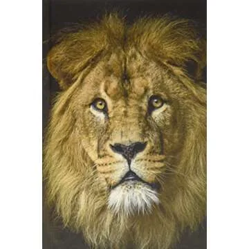 Inspire Courage with Do It Afraid by Joyce Meyer