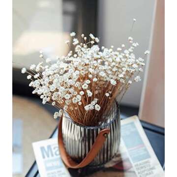 Natural - Dried - Flowers Brazilian Small Star Daisy Dried Decorative Mini Chamomile Bouquet for Wedding Floral Arrangements Home Decorations Valentine's Day Gifts (200 Stems) (White)