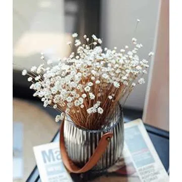 Natural - Dried - Flowers Brazilian Small Star Daisy Dried Decorative Mini Chamomile Bouquet for Wedding Floral Arrangements Home Decorations Valentine's Day Gifts (200 Stems) (White)